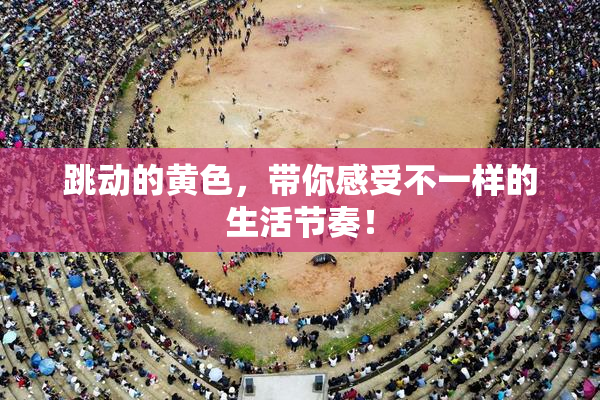 跳动的黄色，带你感受不一样的生活节奏！