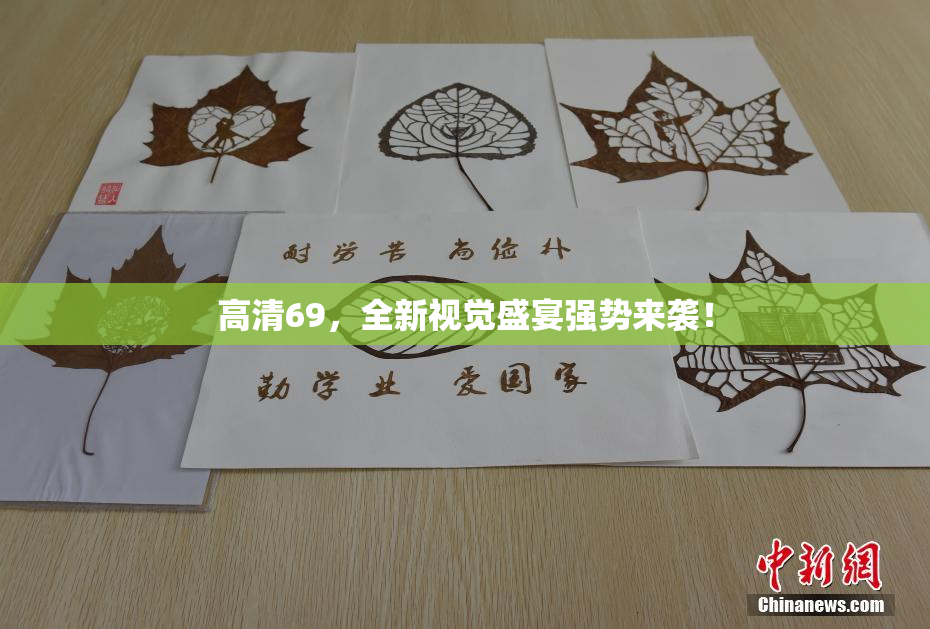 高清69，全新视觉盛宴强势来袭！