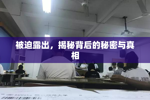 被迫露出，揭秘背后的秘密与真相