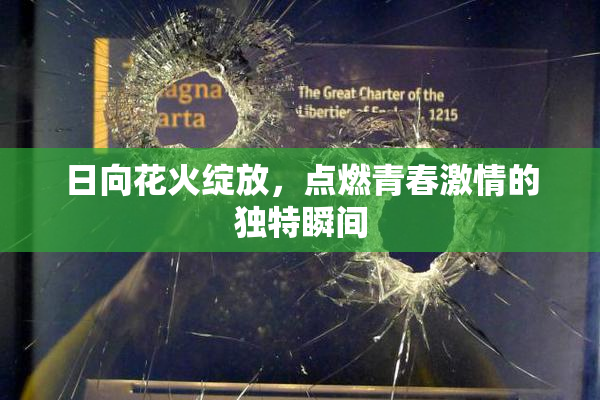 日向花火绽放，点燃青春激情的独特瞬间
