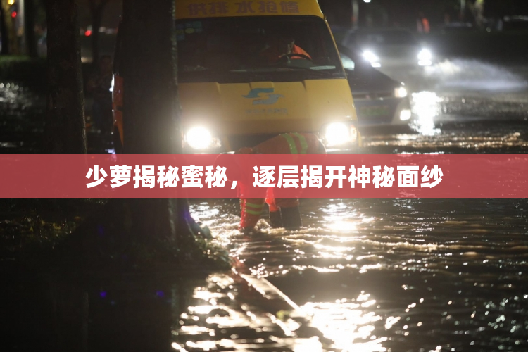 少萝揭秘蜜秘，逐层揭开神秘面纱