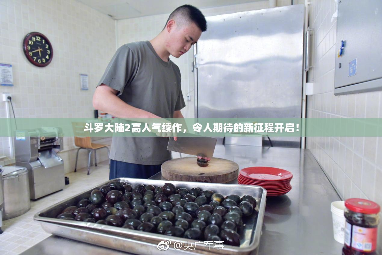斗罗大陆2高人气续作，令人期待的新征程开启！