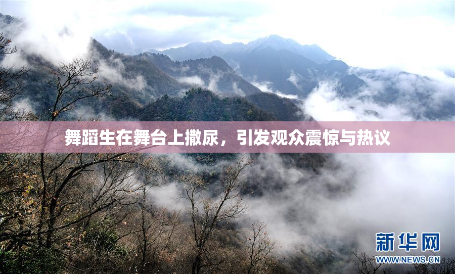 舞蹈生在舞台上撒尿，引发观众震惊与热议