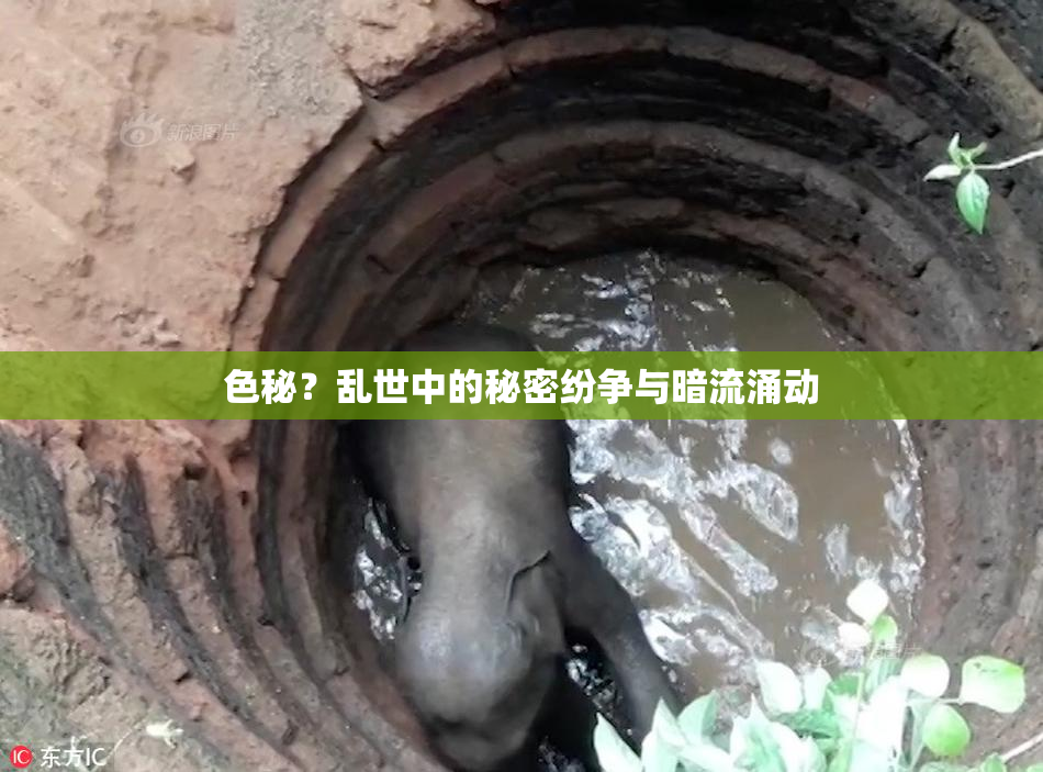 色秘？乱世中的秘密纷争与暗流涌动