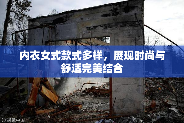 内衣女式款式多样，展现时尚与舒适完美结合