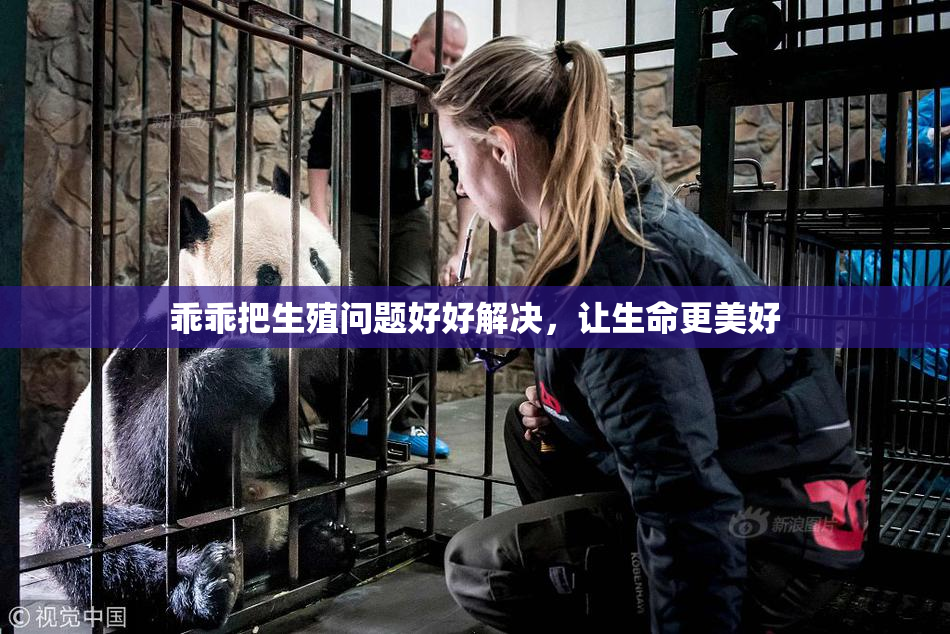 乖乖把生殖问题好好解决，让生命更美好