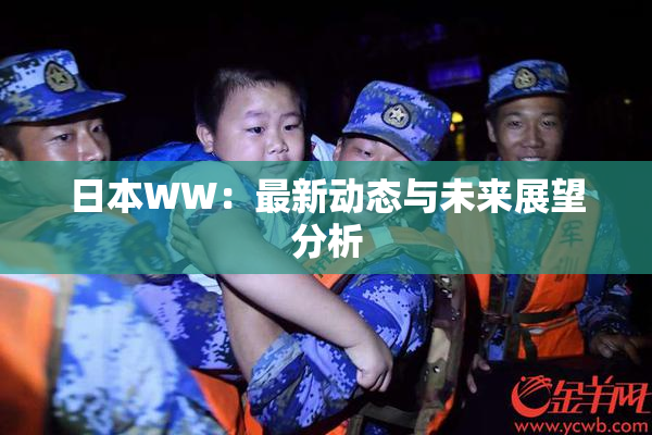 日本WW：最新动态与未来展望分析