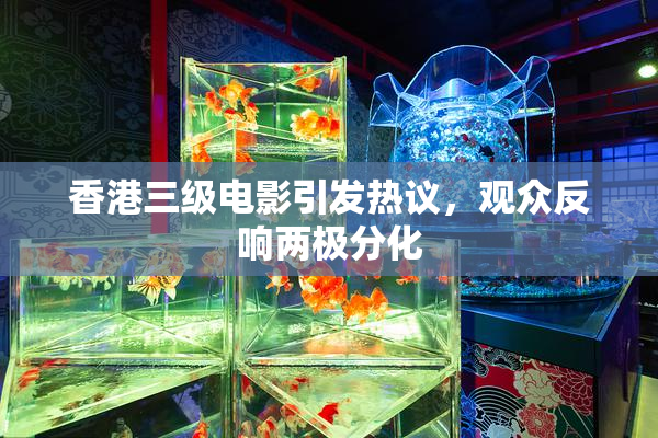 香港三级电影引发热议，观众反响两极分化