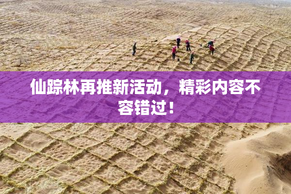 仙踪林再推新活动，精彩内容不容错过！