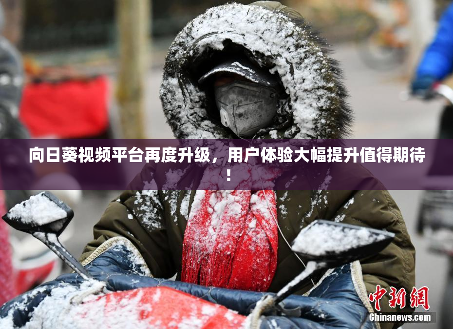 向日葵视频平台再度升级，用户体验大幅提升值得期待！