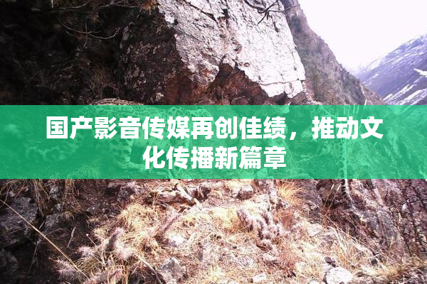 国产影音传媒再创佳绩，推动文化传播新篇章