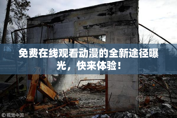免费在线观看动漫的全新途径曝光，快来体验！