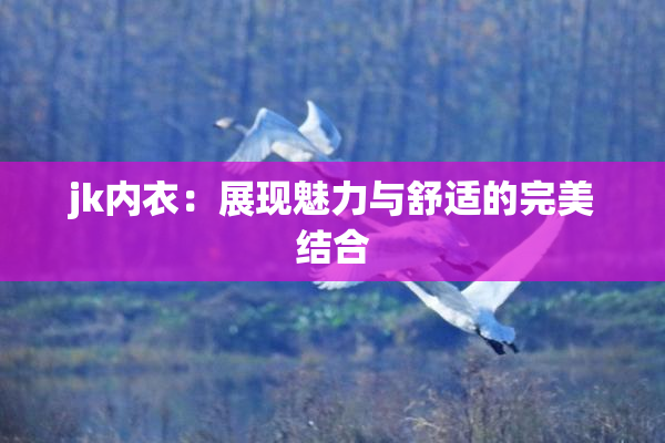jk内衣：展现魅力与舒适的完美结合
