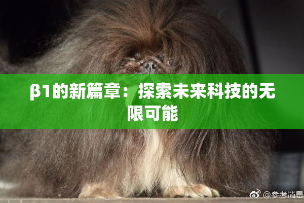 β1的新篇章：探索未来科技的无限可能