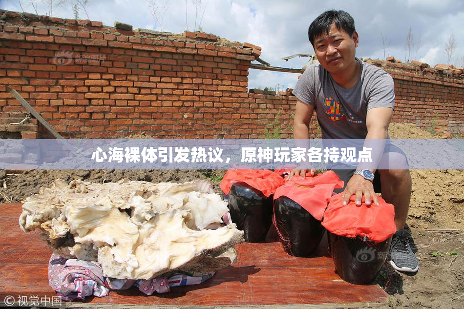心海裸体引发热议，原神玩家各持观点