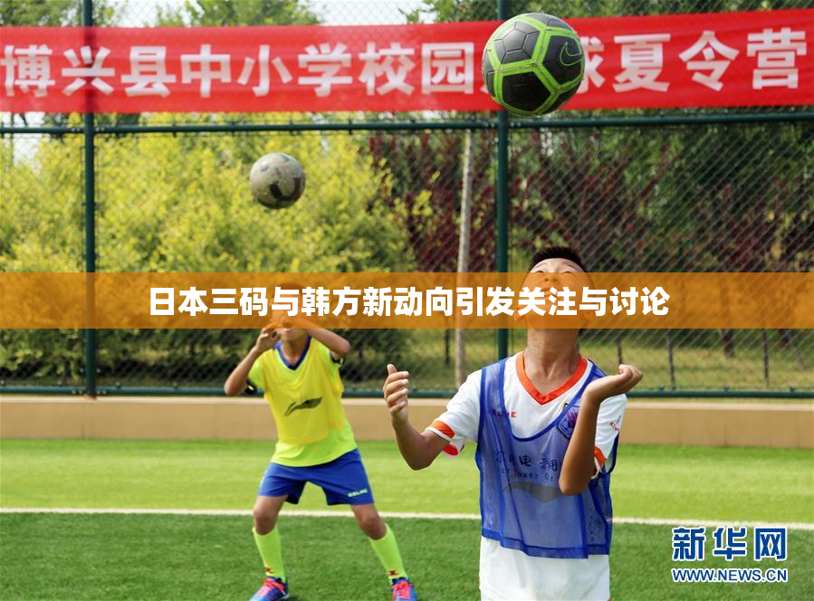 日本三码与韩方新动向引发关注与讨论