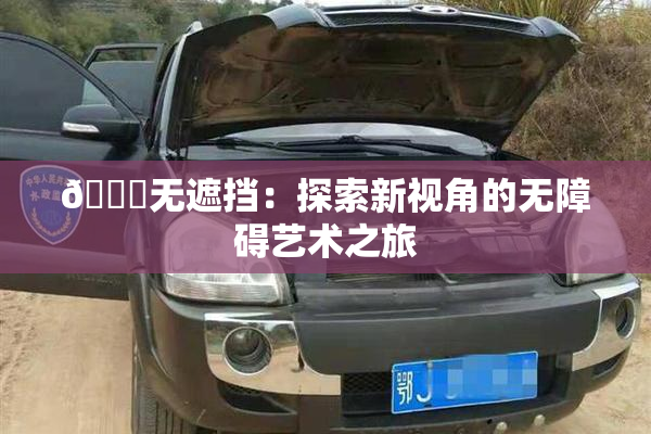 🔞无遮挡：探索新视角的无障碍艺术之旅