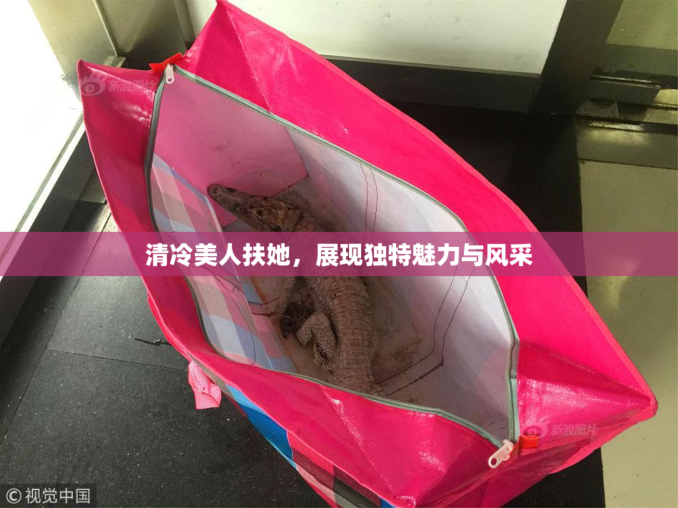 清冷美人扶她，展现独特魅力与风采