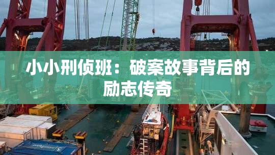 小小刑侦班：破案故事背后的励志传奇