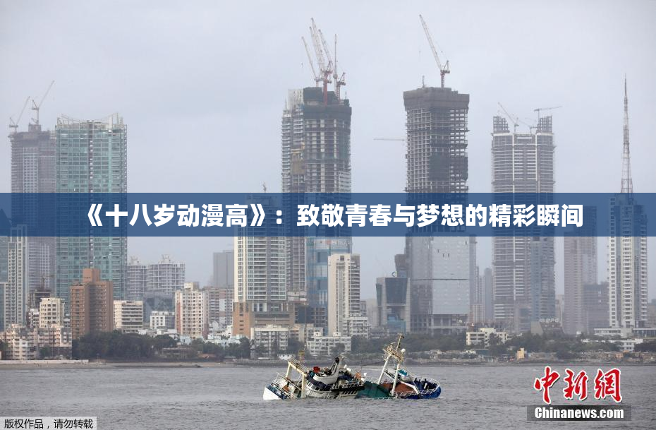 《十八岁动漫高》：致敬青春与梦想的精彩瞬间