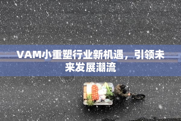 VAM小重塑行业新机遇，引领未来发展潮流