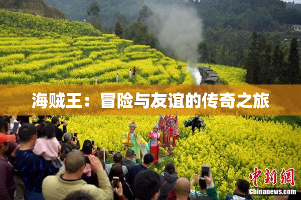 海贼王：冒险与友谊的传奇之旅