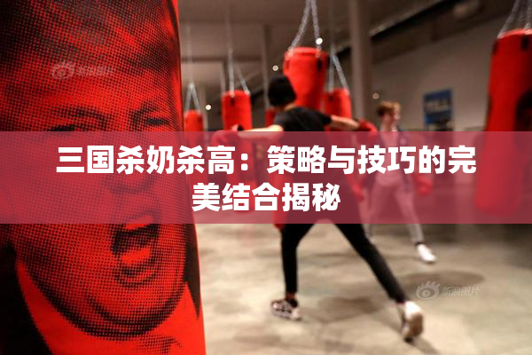 三国杀奶杀高：策略与技巧的完美结合揭秘