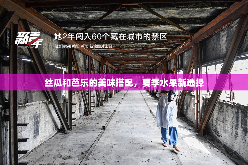 丝瓜和芭乐的美味搭配，夏季水果新选择