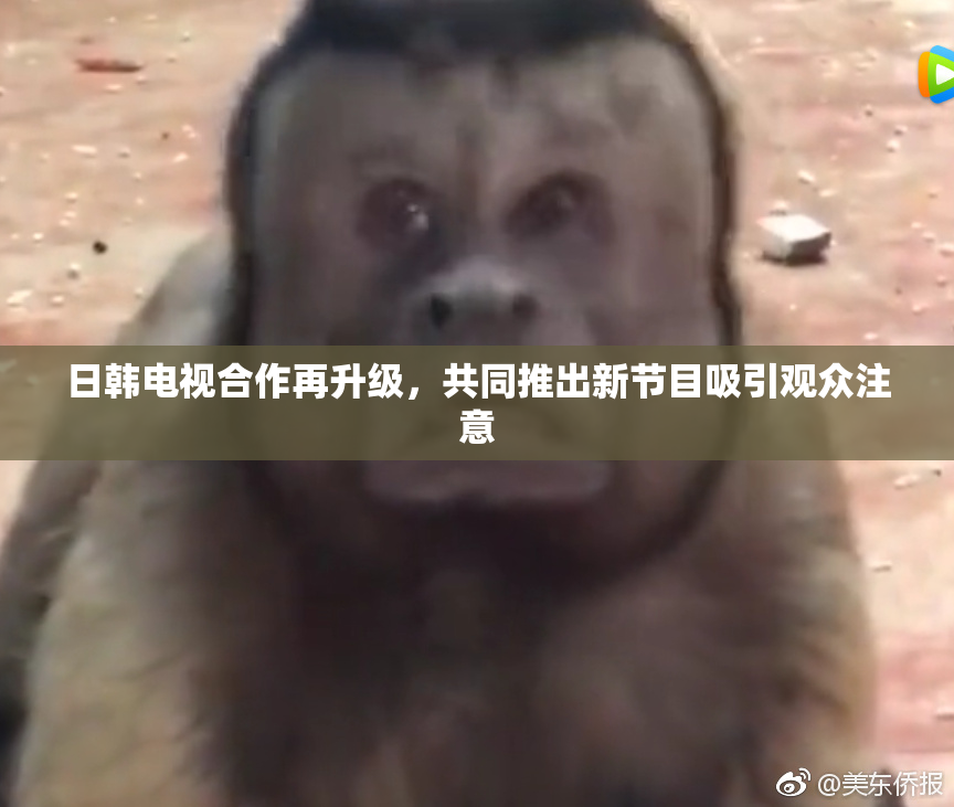 日韩电视合作再升级，共同推出新节目吸引观众注意