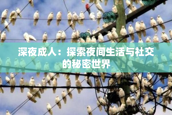 深夜成人：探索夜间生活与社交的秘密世界