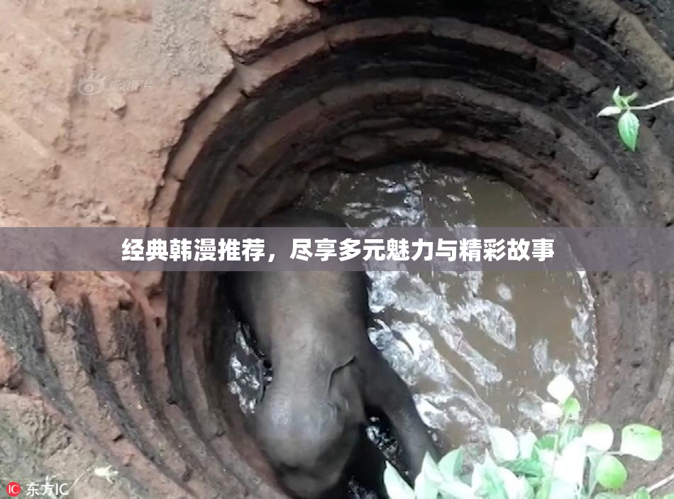 经典韩漫推荐，尽享多元魅力与精彩故事
