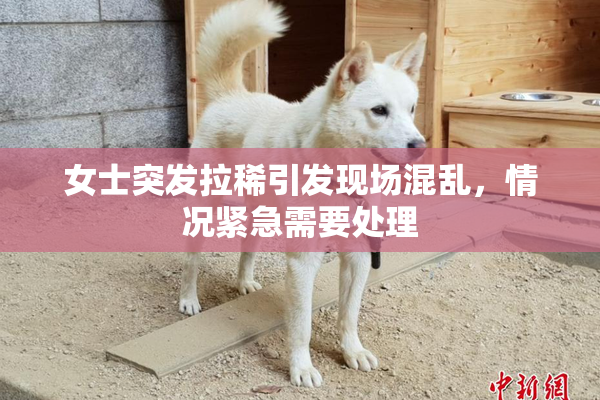 女士突发拉稀引发现场混乱，情况紧急需要处理