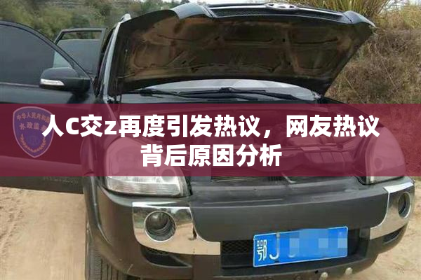 人C交z再度引发热议，网友热议背后原因分析