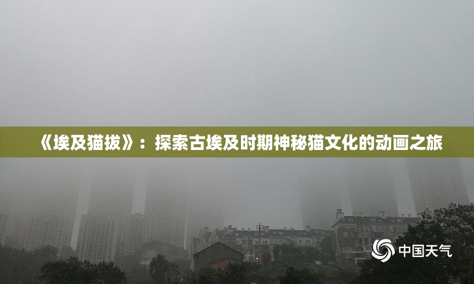 《埃及猫拔》：探索古埃及时期神秘猫文化的动画之旅