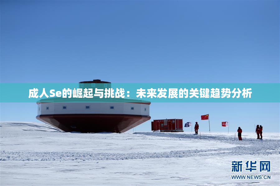 成人Se的崛起与挑战：未来发展的关键趋势分析