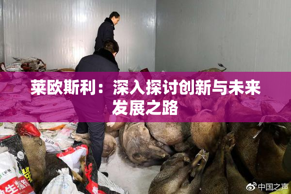 莱欧斯利：深入探讨创新与未来发展之路