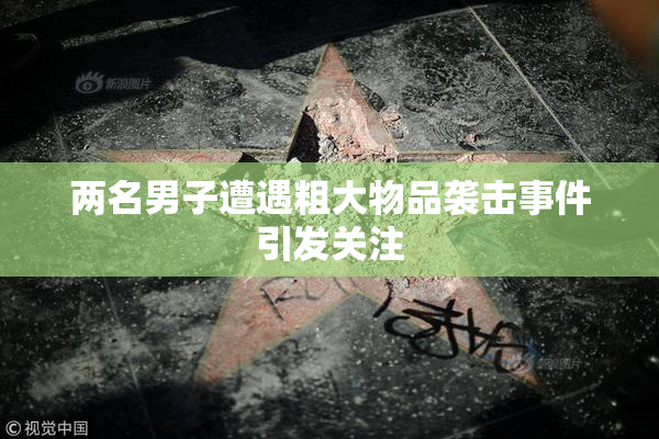 两名男子遭遇粗大物品袭击事件引发关注