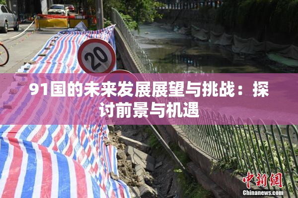 91国的未来发展展望与挑战：探讨前景与机遇