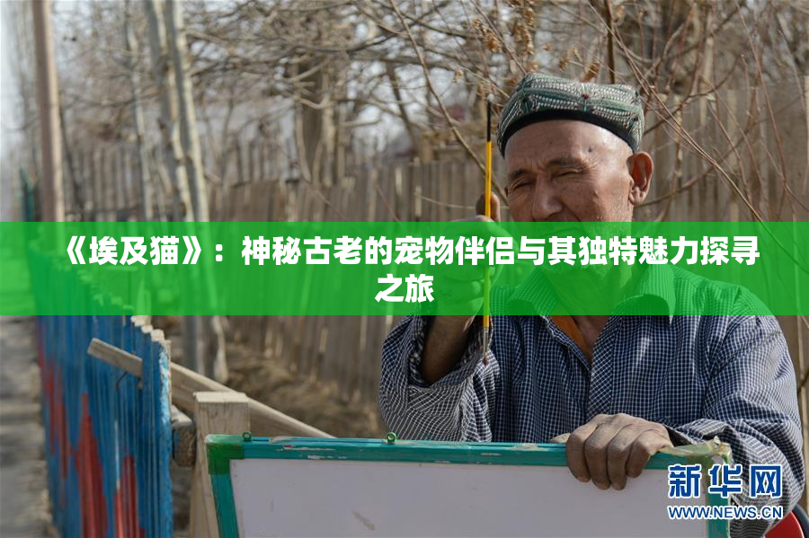 《埃及猫》：神秘古老的宠物伴侣与其独特魅力探寻之旅