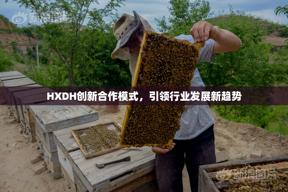 HXDH创新合作模式，引领行业发展新趋势