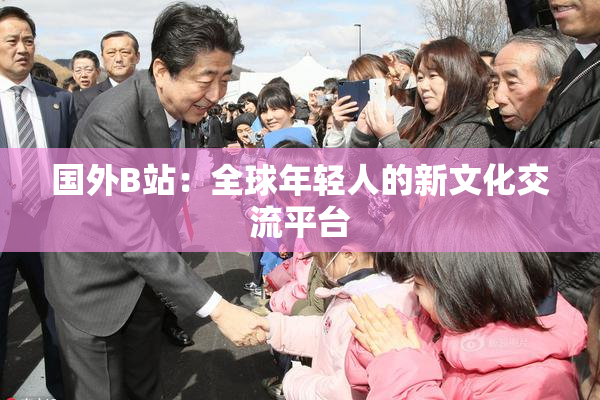 国外B站：全球年轻人的新文化交流平台