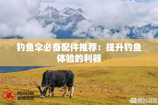钓鱼伞必备配件推荐：提升钓鱼体验的利器