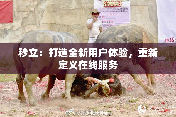 秒立：打造全新用户体验，重新定义在线服务