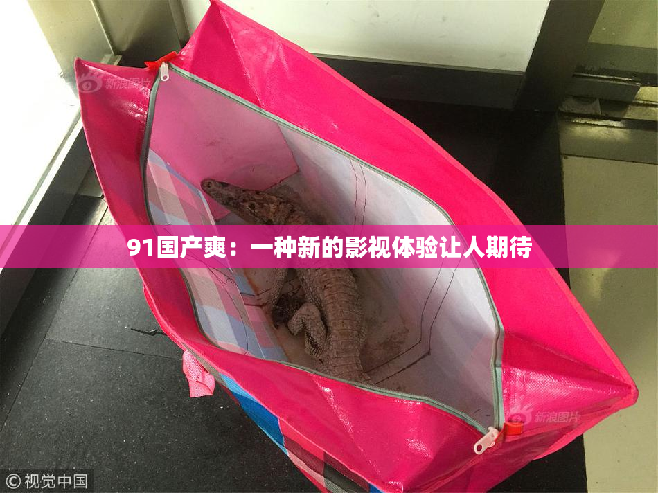 91国产爽：一种新的影视体验让人期待