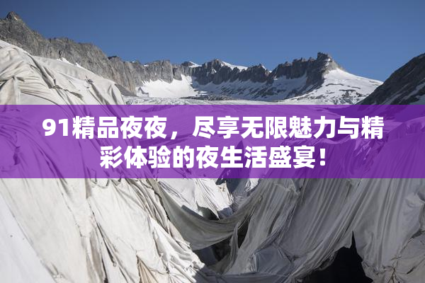 91精品夜夜，尽享无限魅力与精彩体验的夜生活盛宴！