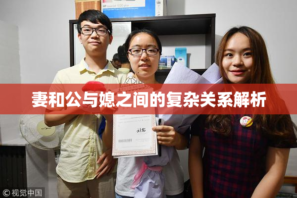 妻和公与媳之间的复杂关系解析