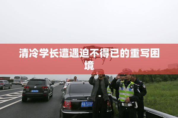 清冷学长遭遇迫不得已的重写困境