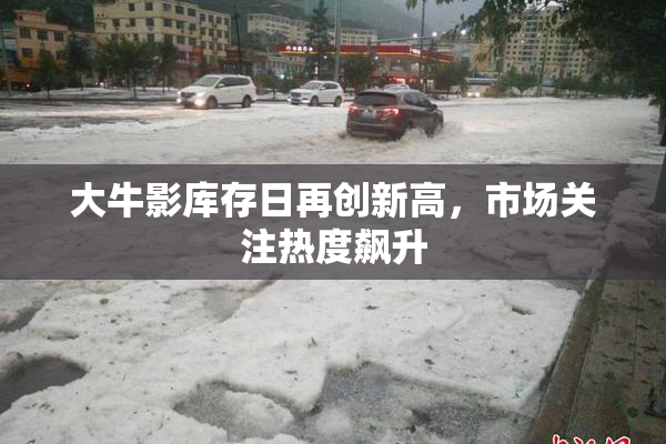 大牛影库存日再创新高，市场关注热度飙升