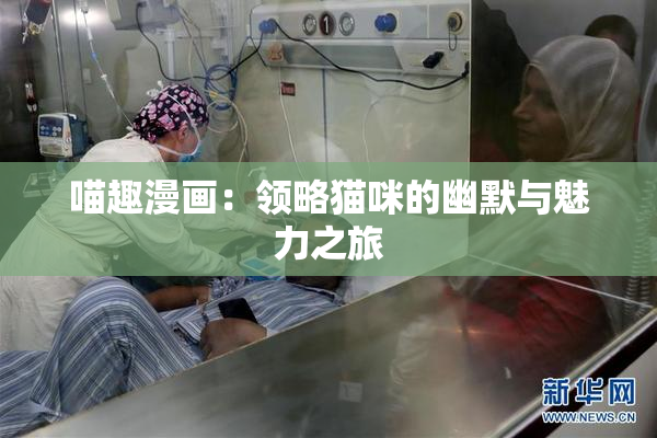 喵趣漫画：领略猫咪的幽默与魅力之旅