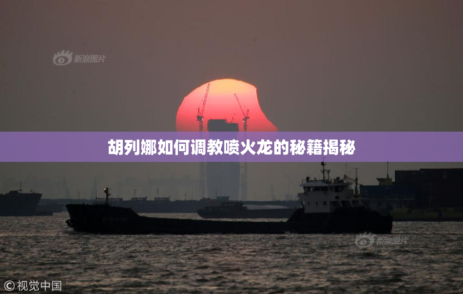 胡列娜如何调教喷火龙的秘籍揭秘